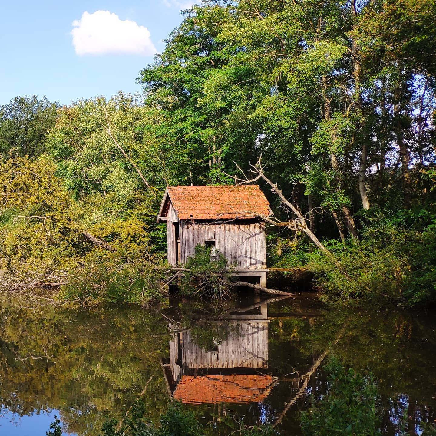 etang